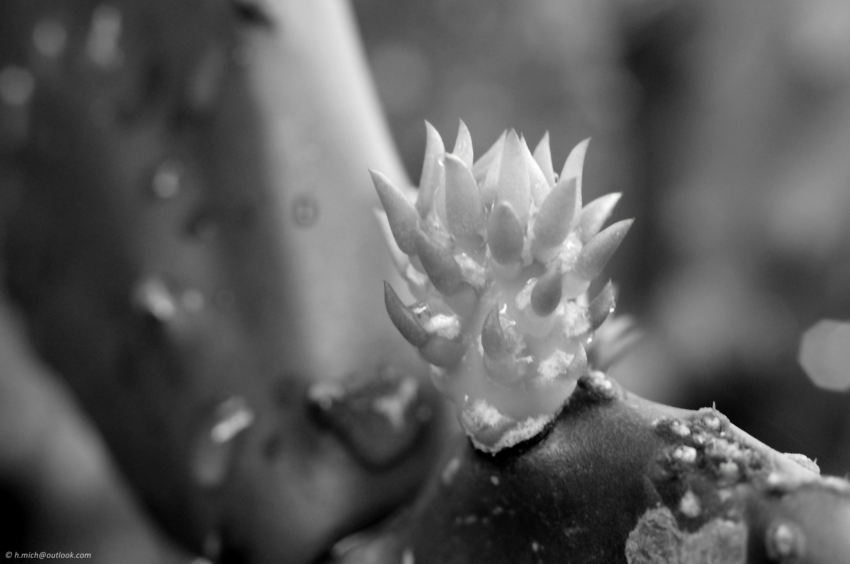 Studio-One.Art.br Repo Fotografia em Rio Preto SP/Brasil