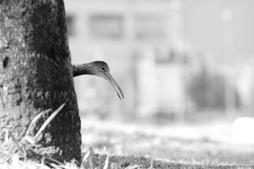 Studio-One.Art.br Repo Fotografia em Rio Preto SP/Brasil