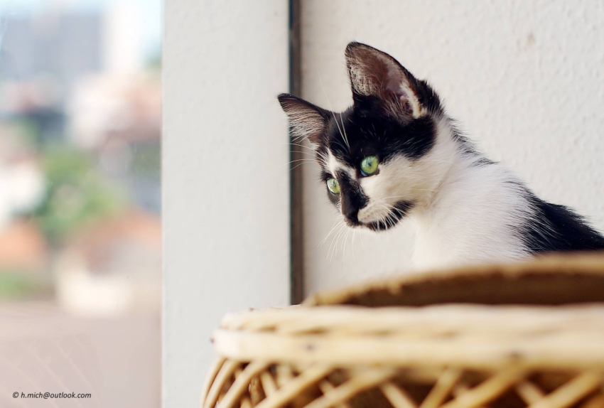 Studio-One.Art.br Repo Fotografia em Rio Preto SP/Brasil