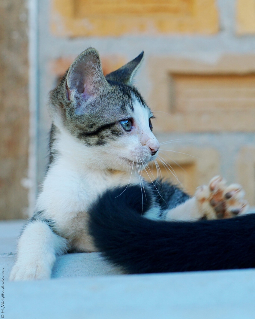 Studio-One.Art.br Repo Fotografia em Rio Preto SP/Brasil
