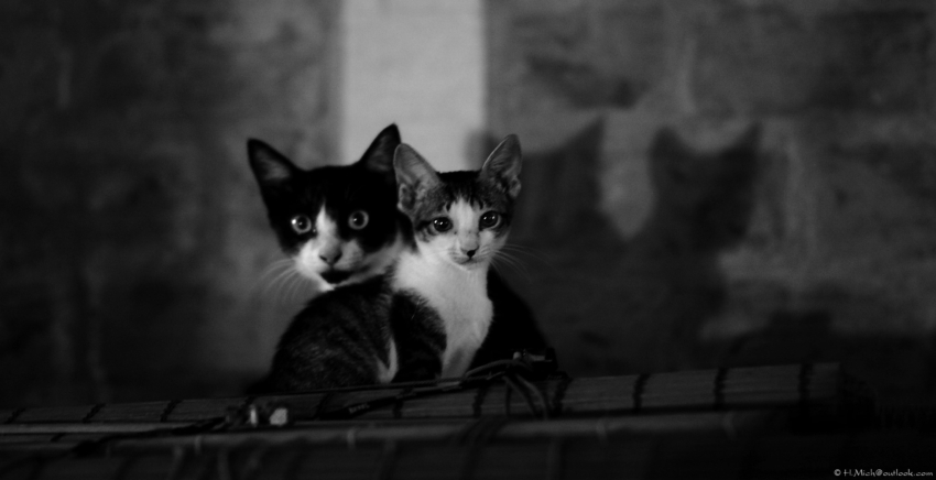 Studio-One.Art.br Repo Fotografia em Rio Preto SP/Brasil