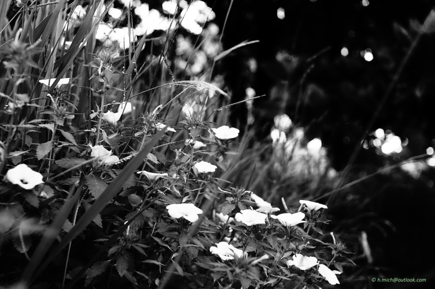 Studio-One.Art.br Repo Fotografia em Rio Preto SP/Brasil