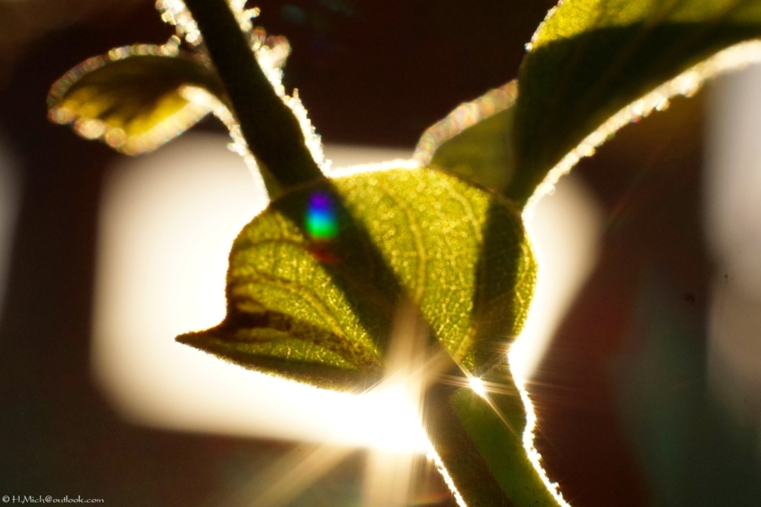 Studio-One.Art.br Repo Fotografia em Rio Preto SP/Brasil