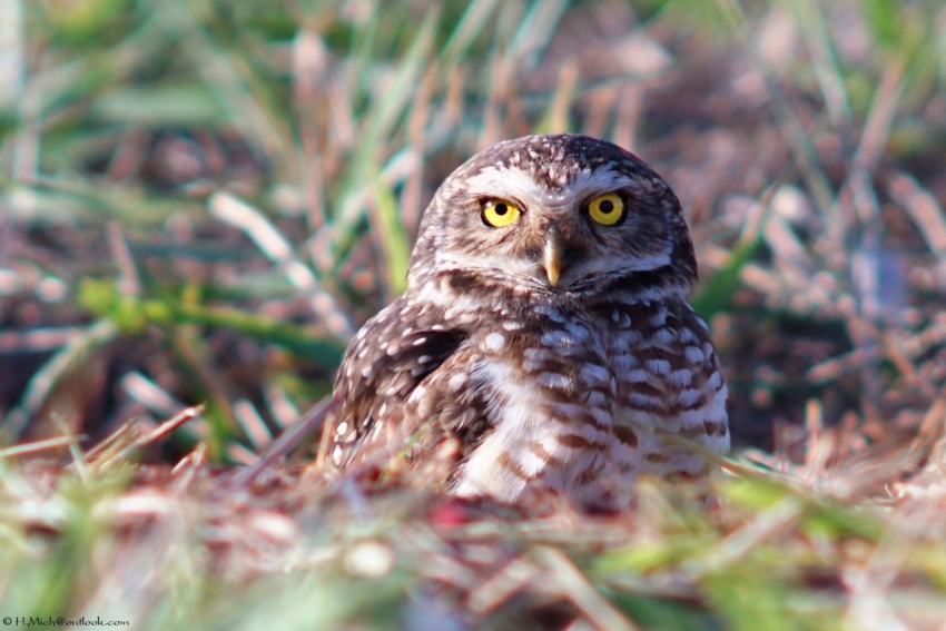 Studio-One.Art.br Repo Fotografia em Rio Preto SP/Brasil