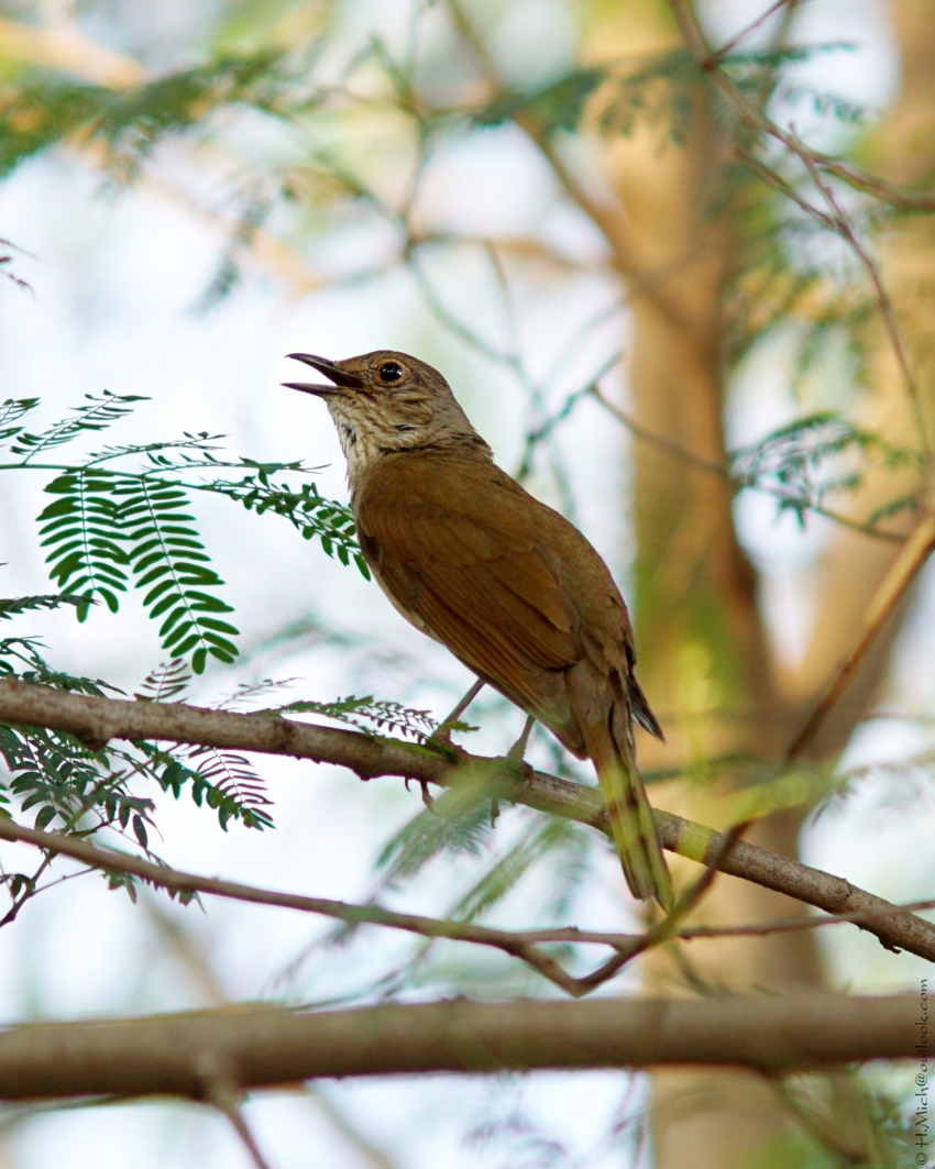 Studio-One.Art.br Repo Fotografia em Rio Preto SP/Brasil