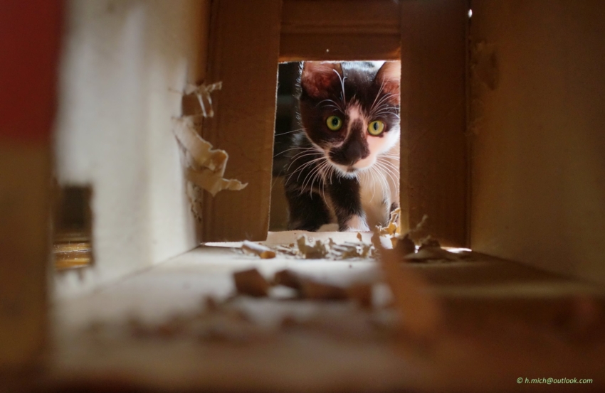 Studio-One.Art.br Repo Fotografia em Rio Preto SP/Brasil