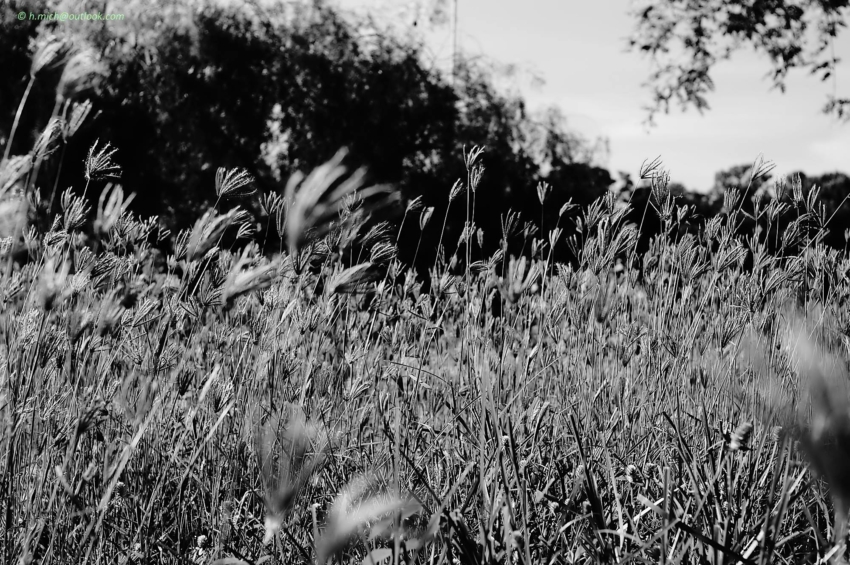 Studio-One.Art.br Repo Fotografia em Rio Preto SP/Brasil