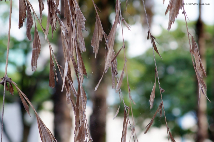 Studio-One.Art.br Repo Fotografia em Rio Preto SP/Brasil