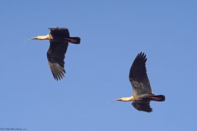 2022 06 15(132)