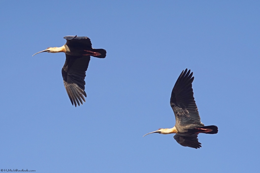 Studio-One.Art.br Repo Fotografia em Rio Preto SP/Brasil