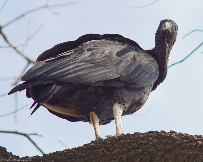 Studio-One.Art.br Repo Fotografia em Rio Preto SP/Brasil