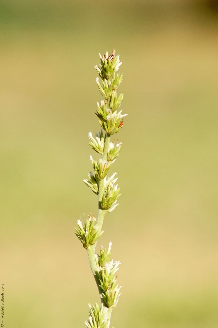 Studio-One.Art.br Repo Fotografia em Rio Preto SP/Brasil