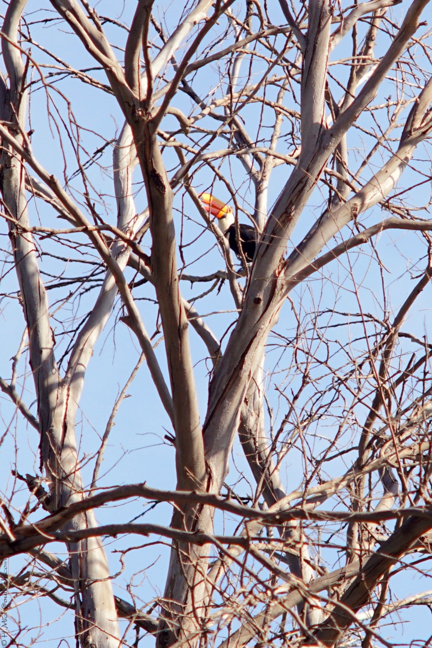 Studio-One.Art.br Repo Fotografia em Rio Preto SP/Brasil