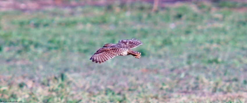 Studio-One.Art.br Repo Fotografia em Rio Preto SP/Brasil