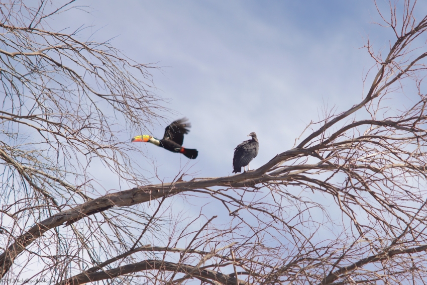 Studio-One.Art.br Repo Fotografia em Rio Preto SP/Brasil