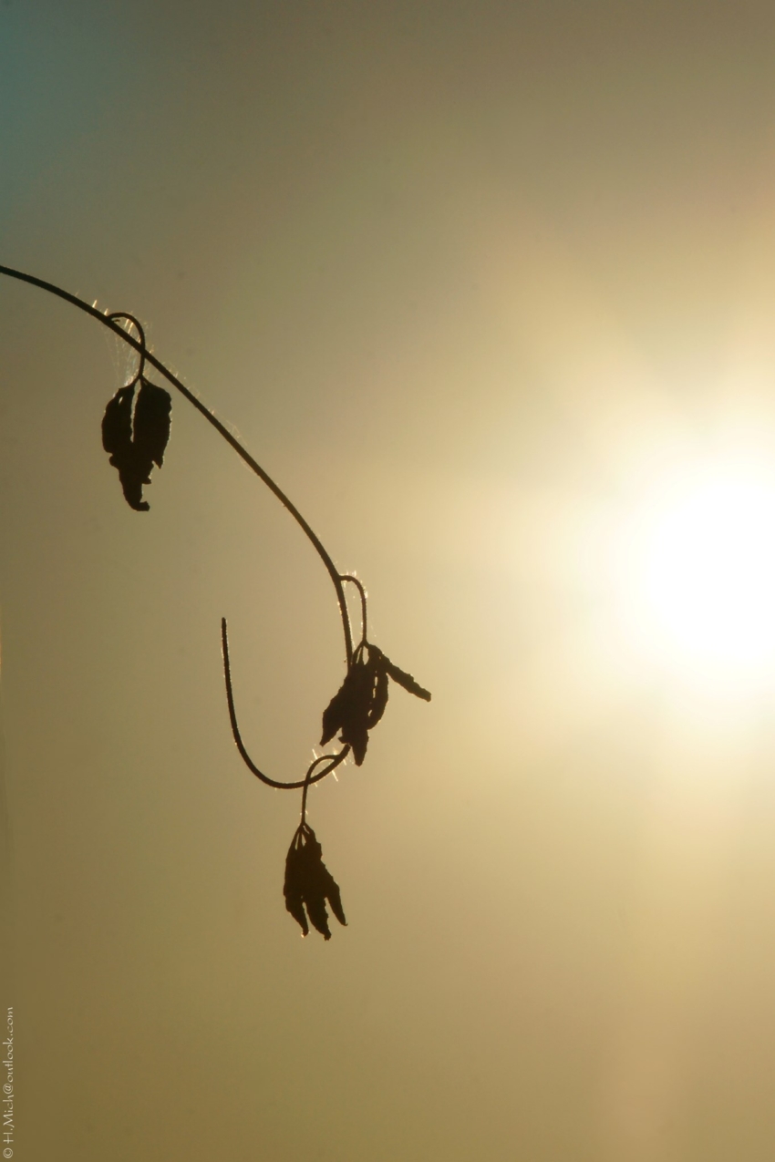 Studio-One.Art.br Repo Fotografia em Rio Preto SP/Brasil