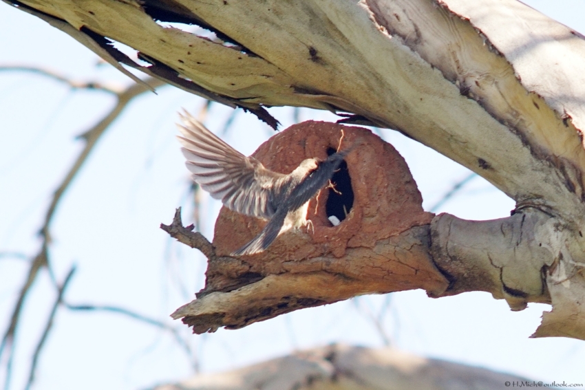 Studio-One.Art.br Repo Fotografia em Rio Preto SP/Brasil