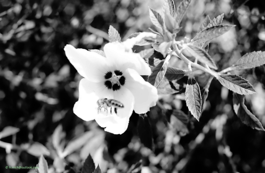 Studio-One.Art.br Repo Fotografia em Rio Preto SP/Brasil