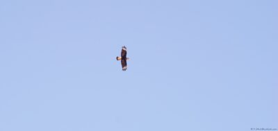 2022 06 15(137)