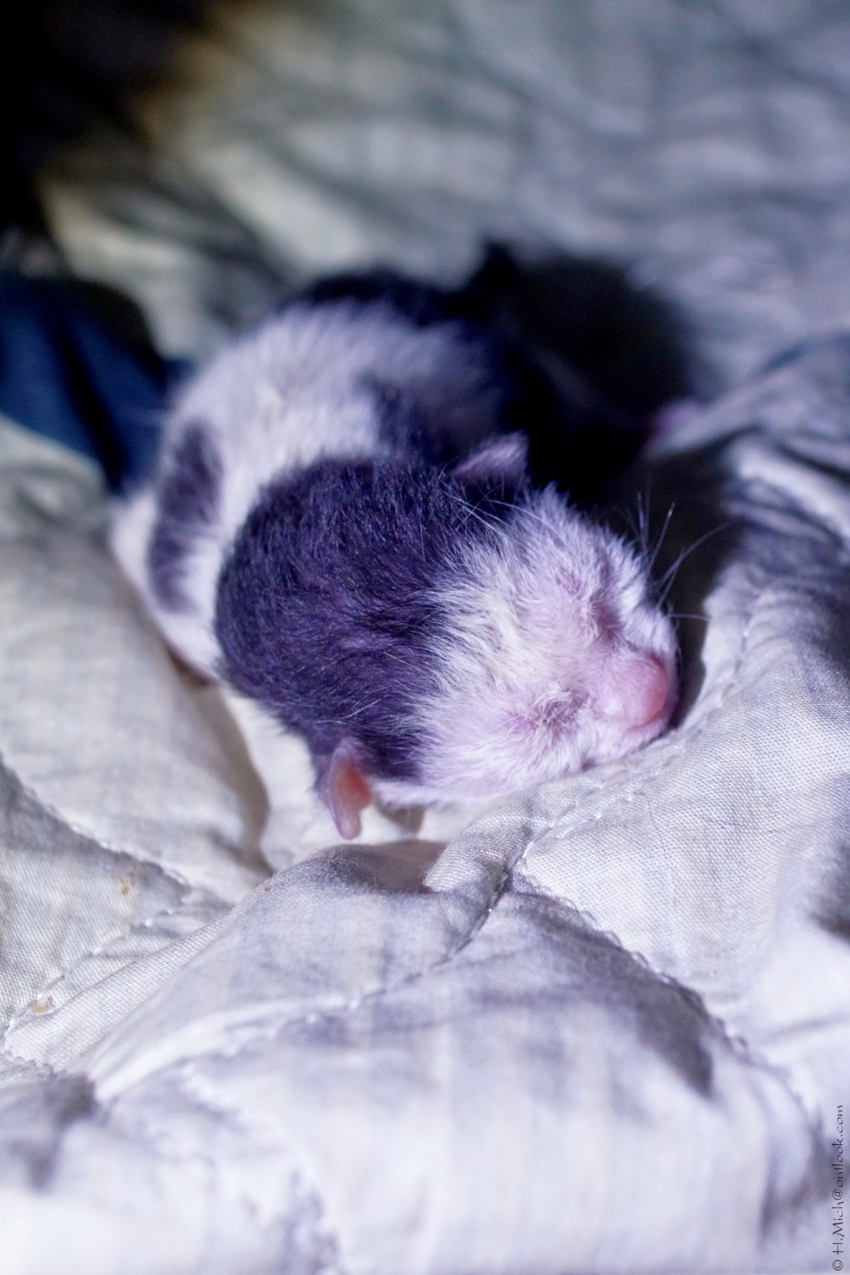 Studio-One.Art.br Repo Fotografia em Rio Preto SP/Brasil