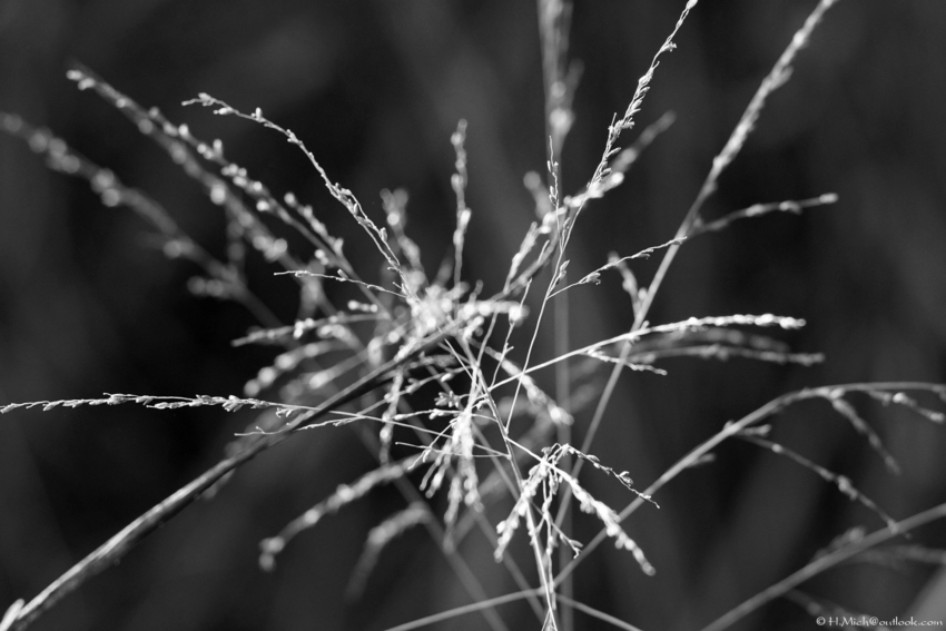 Studio-One.Art.br Repo Fotografia em Rio Preto SP/Brasil