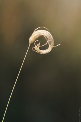 2022 06 15(138)