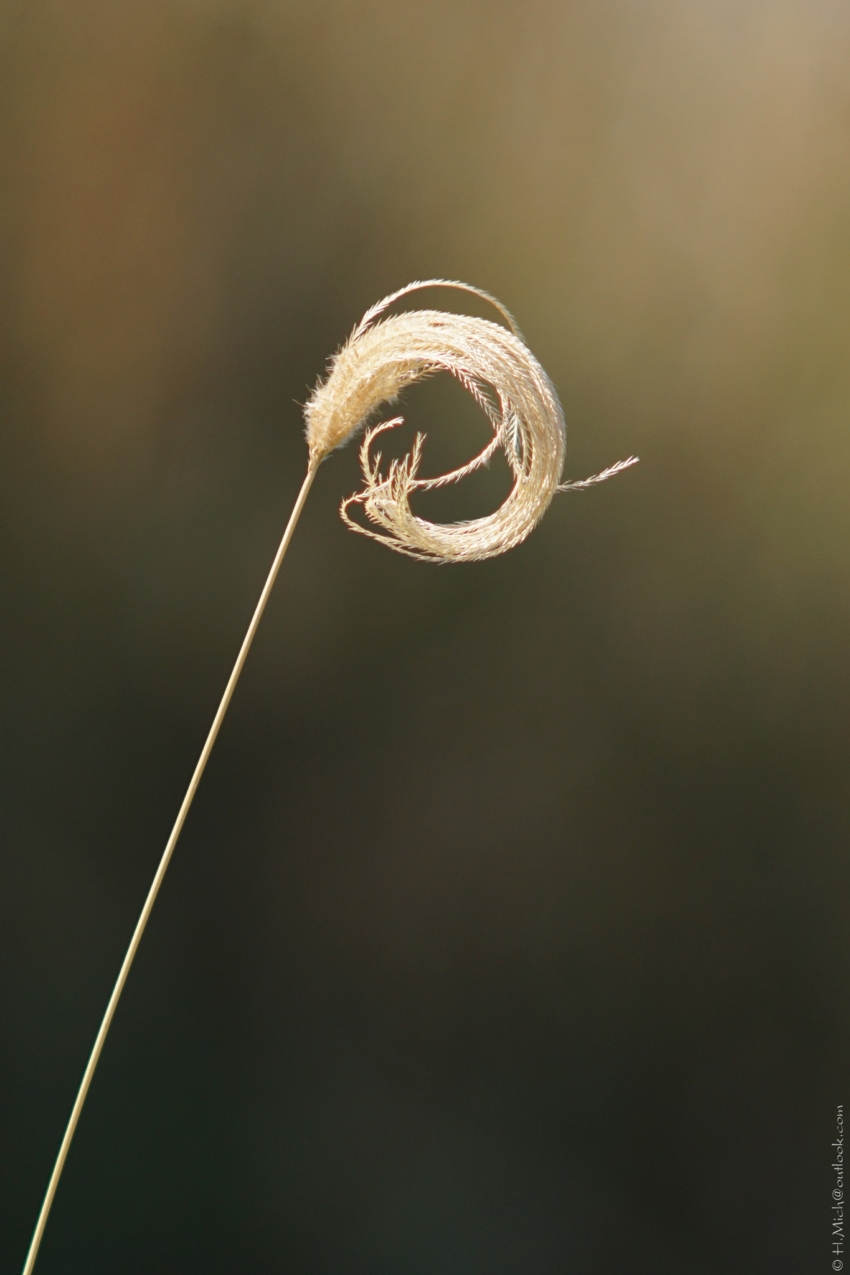 Studio-One.Art.br Repo Fotografia em Rio Preto SP/Brasil