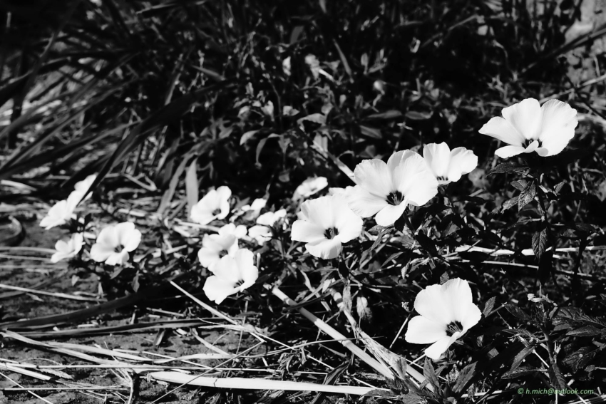 Studio-One.Art.br Repo Fotografia em Rio Preto SP/Brasil