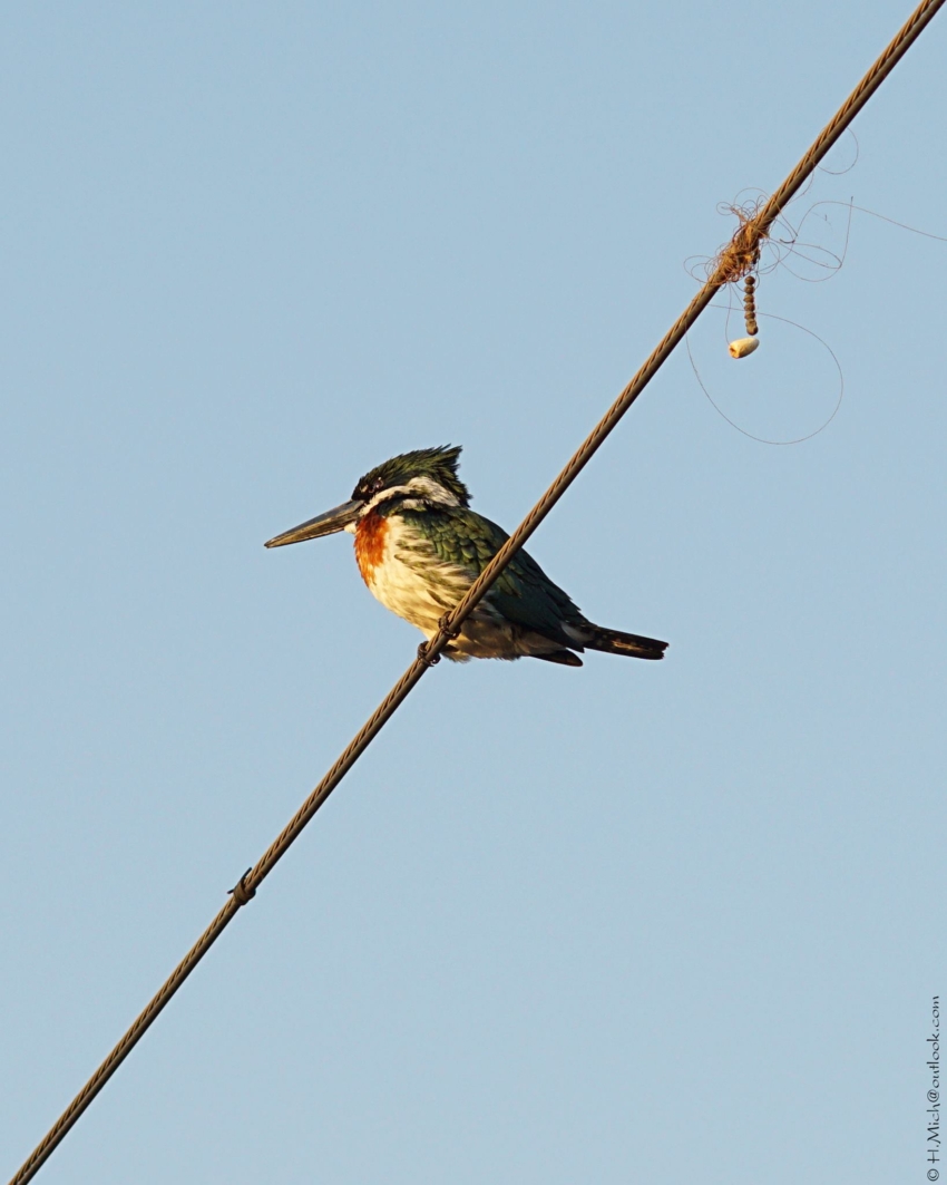 Studio-One.Art.br Repo Fotografia em Rio Preto SP/Brasil