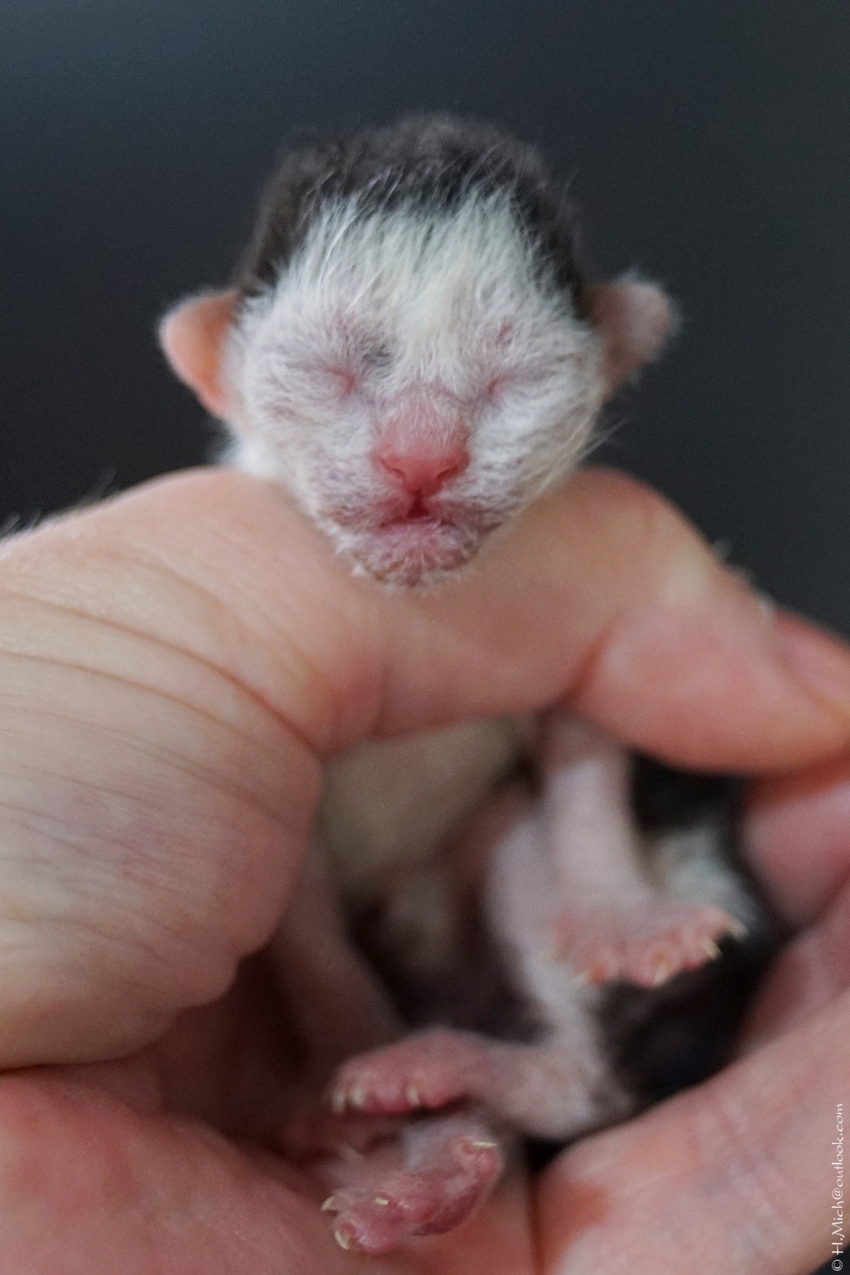 Studio-One.Art.br Repo Fotografia em Rio Preto SP/Brasil