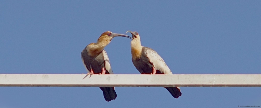Studio-One.Art.br Repo Fotografia em Rio Preto SP/Brasil