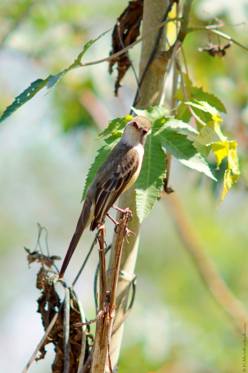 Studio-One.Art.br Repo Fotografia em Rio Preto SP/Brasil