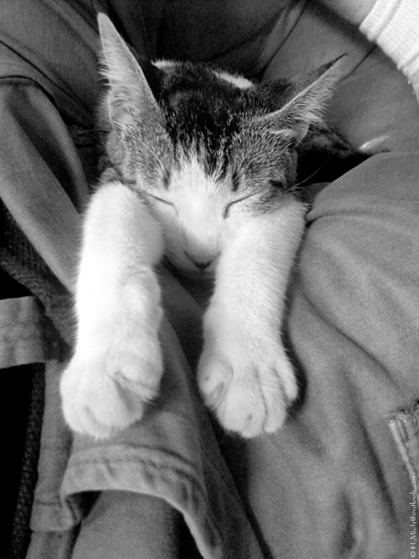 Studio-One.Art.br Repo Fotografia em Rio Preto SP/Brasil