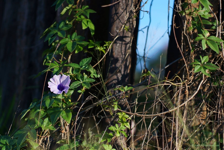 Studio-One.Art.br Repo Fotografia em Rio Preto SP/Brasil