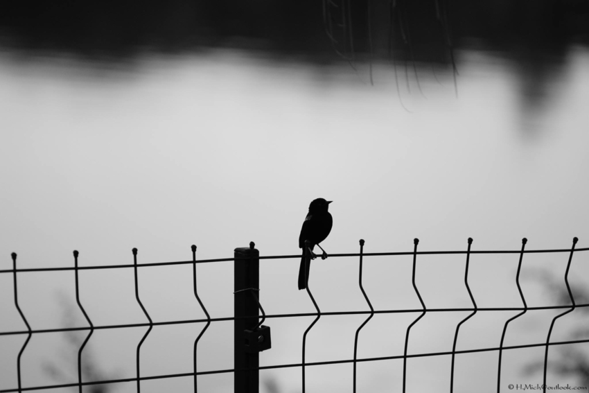 Studio-One.Art.br Repo Fotografia em Rio Preto SP/Brasil