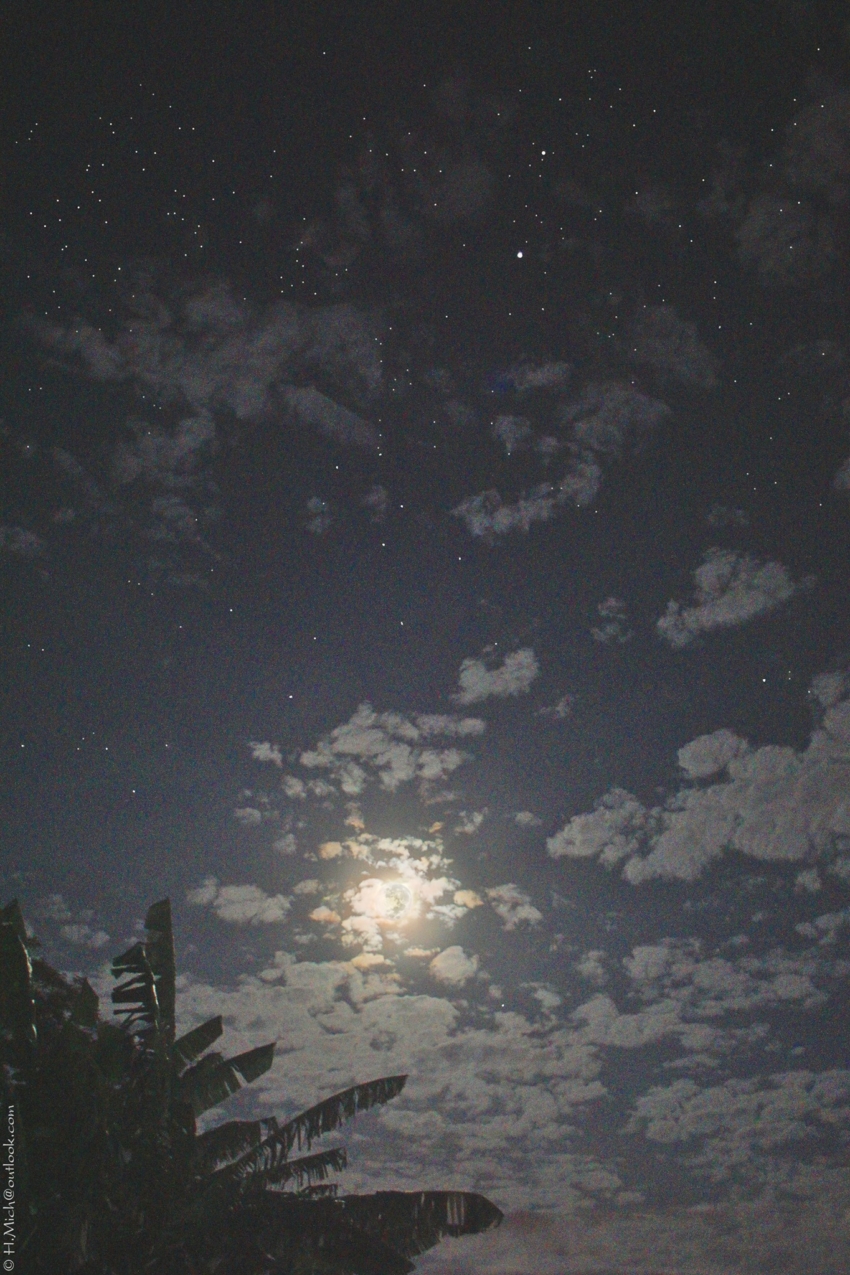 Studio-One.Art.br Repo Fotografia em Rio Preto SP/Brasil