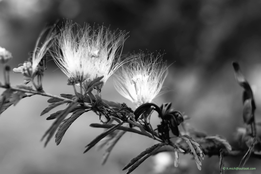 Studio-One.Art.br Repo Fotografia em Rio Preto SP/Brasil