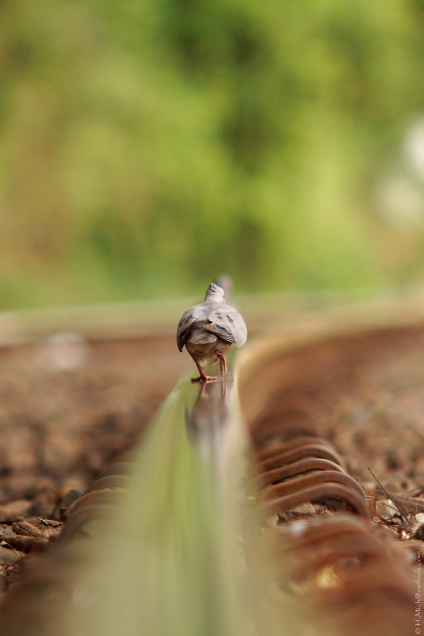 Studio-One.Art.br Repo Fotografia em Rio Preto SP/Brasil