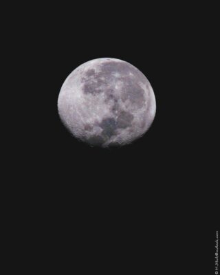 2022 06 15(142)