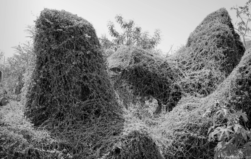 Studio-One.Art.br Repo Fotografia em Rio Preto SP/Brasil