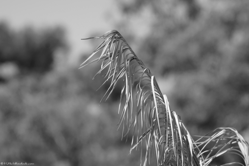 Studio-One.Art.br Repo Fotografia em Rio Preto SP/Brasil