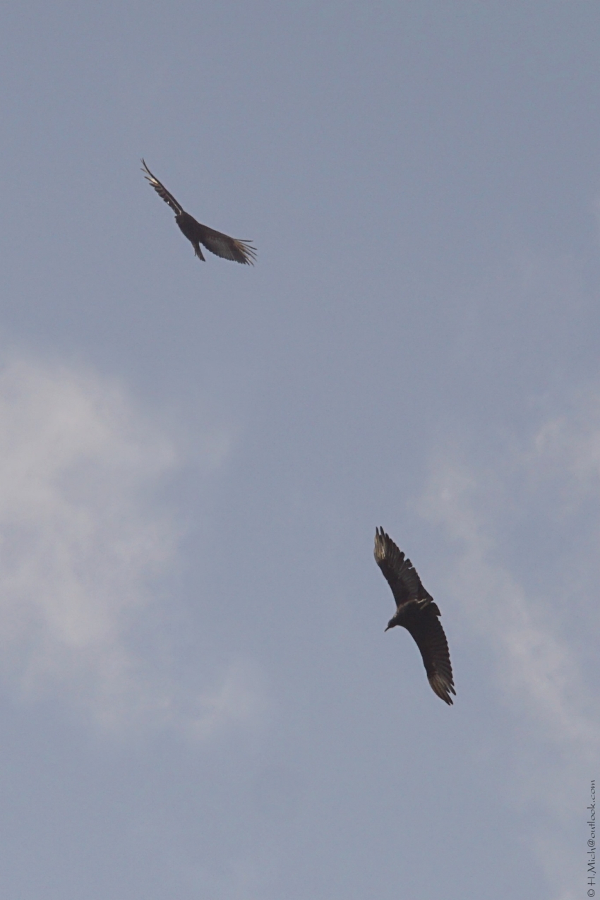 Studio-One.Art.br Repo Fotografia em Rio Preto SP/Brasil