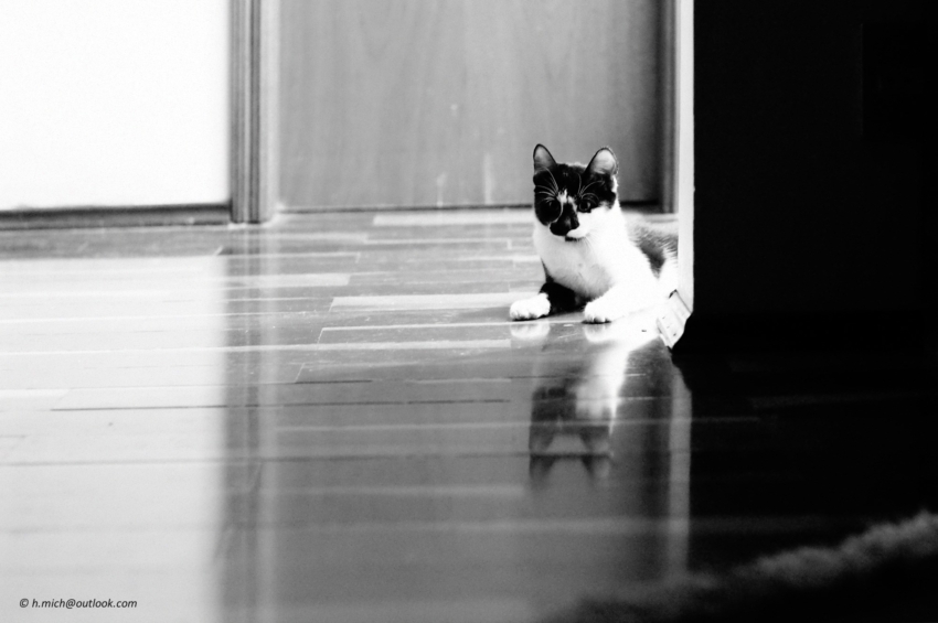 Studio-One.Art.br Repo Fotografia em Rio Preto SP/Brasil