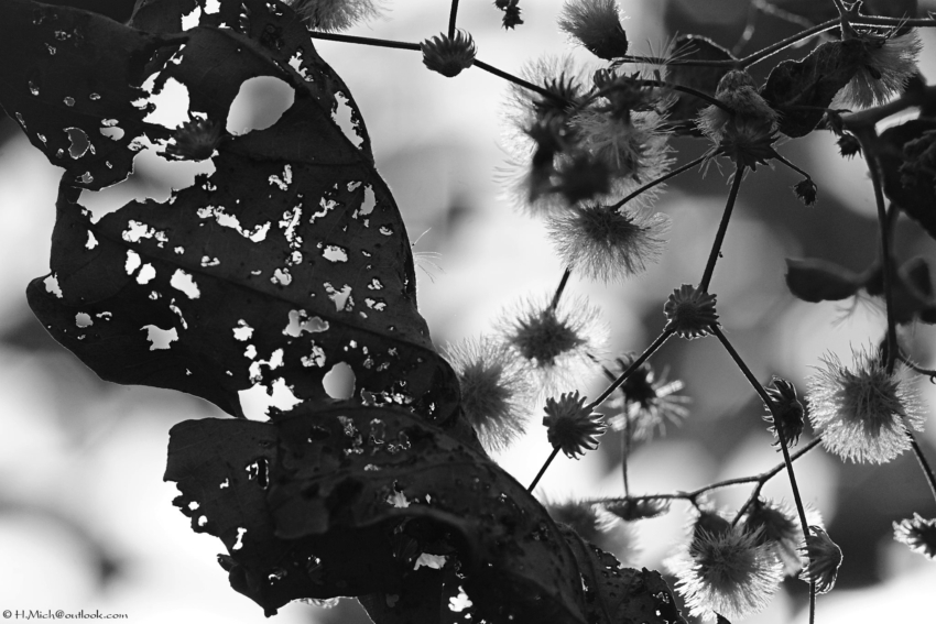 Studio-One.Art.br Repo Fotografia em Rio Preto SP/Brasil