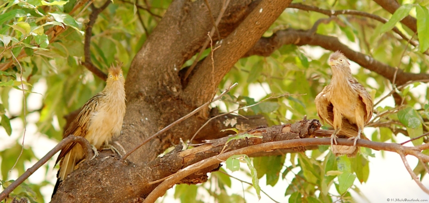 Studio-One.Art.br Repo Fotografia em Rio Preto SP/Brasil