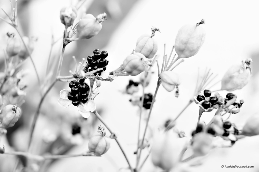 Studio-One.Art.br Repo Fotografia em Rio Preto SP/Brasil