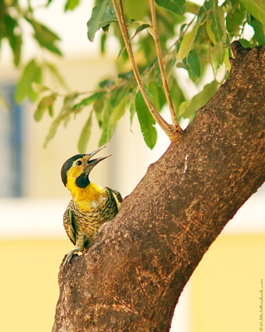 Studio-One.Art.br Repo Fotografia em Rio Preto SP/Brasil