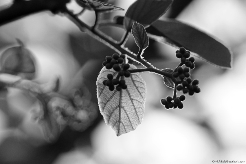 Studio-One.Art.br Repo Fotografia em Rio Preto SP/Brasil