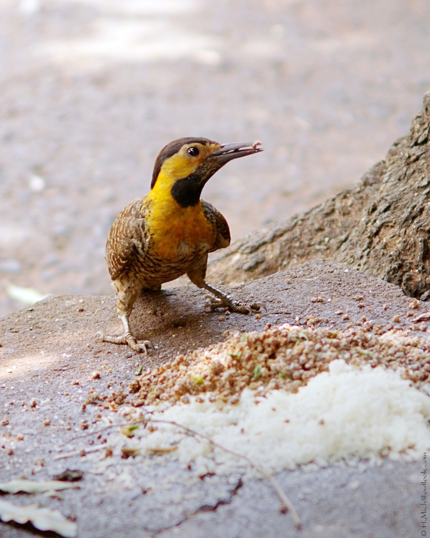 Studio-One.Art.br Repo Fotografia em Rio Preto SP/Brasil