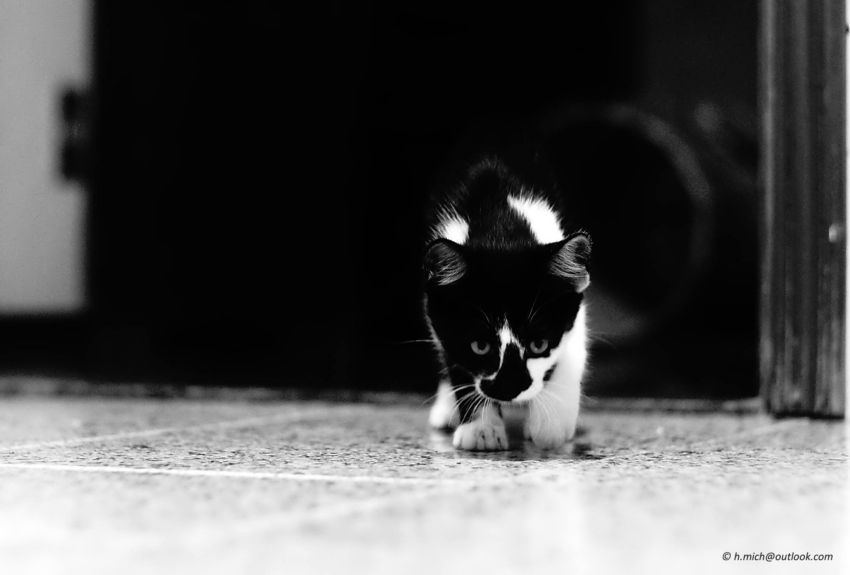 Studio-One.Art.br Repo Fotografia em Rio Preto SP/Brasil